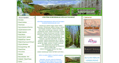 Desktop Screenshot of kemeronline.com