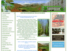 Tablet Screenshot of kemeronline.com